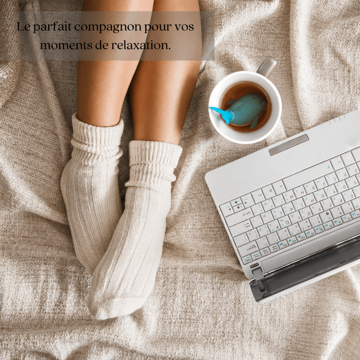 Le parfait compagnon pour vos moments de détente